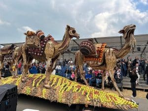 Fruitcorso Tiel — Lukassen AGF